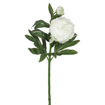 DARE2DECOR Peony X2-Cream Floral Stem, 3PK DA598308